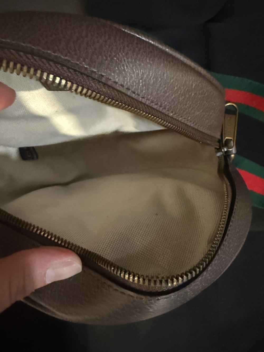 Gucci - Picture 5 of 11
